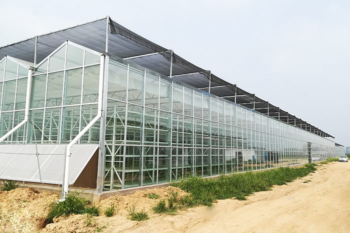 兰考温室大棚农业项目用层板货架项目案例